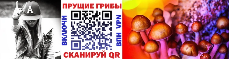 darknet состав  Карабаново  Галлюциногенные грибы Psilocybe 